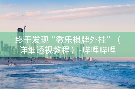 终于发现“微乐棋牌外挂”（详细透视教程）-哔哩哔哩