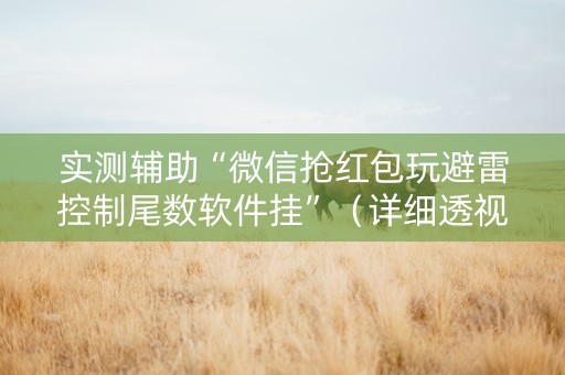 实测辅助“微信抢红包玩避雷控制尾数软件挂”（详细透视教程）-哔哩哔哩