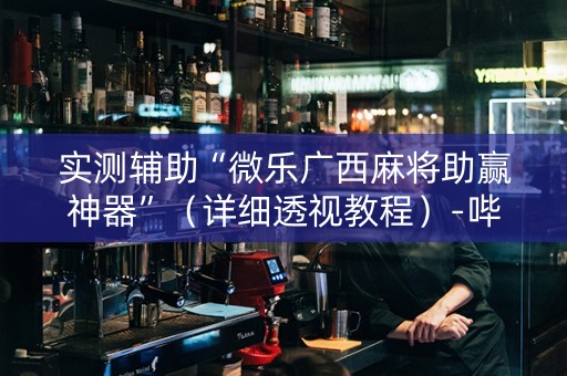 实测辅助“微乐广西麻将助赢神器”（详细透视教程）-哔哩哔哩