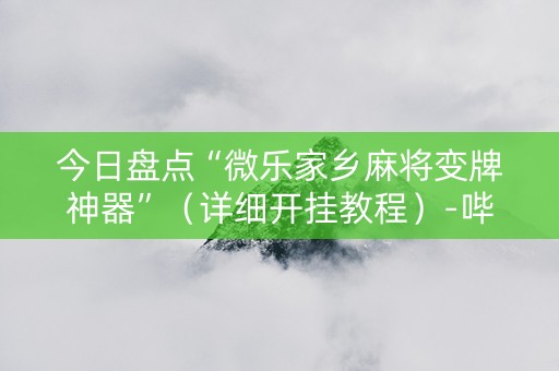 今日盘点“微乐家乡麻将变牌神器”（详细开挂教程）-哔哩哔哩