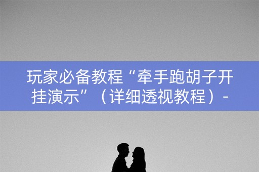 玩家必备教程“牵手跑胡子开挂演示”（详细透视教程）-哔哩哔哩