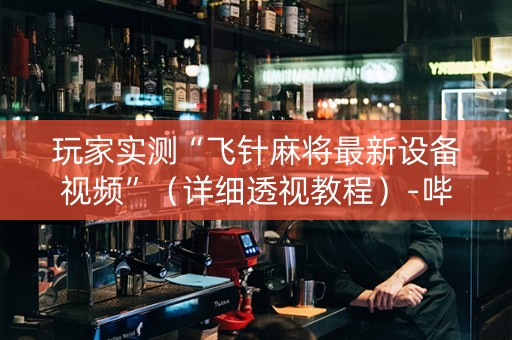 玩家实测“飞针麻将最新设备视频”（详细透视教程）-哔哩哔哩