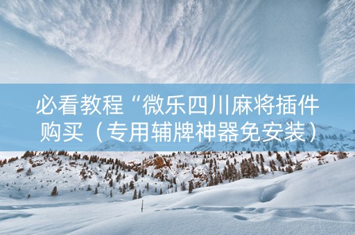 必看教程“微乐四川麻将插件购买（专用辅牌神器免安装）