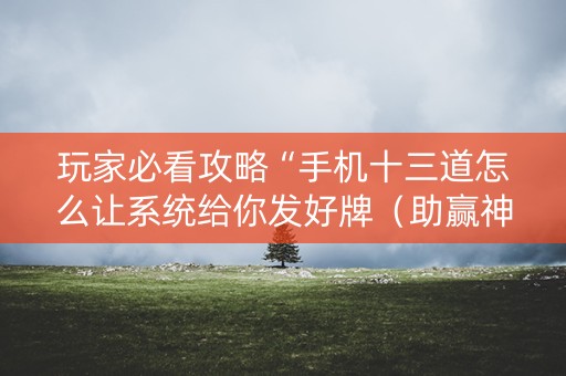 玩家必看攻略“手机十三道怎么让系统给你发好牌（助赢神器通用版）