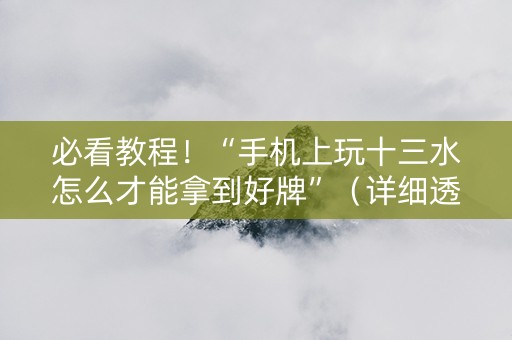 必看教程！“手机上玩十三水怎么才能拿到好牌”（详细透视教程）-哔哩哔哩
