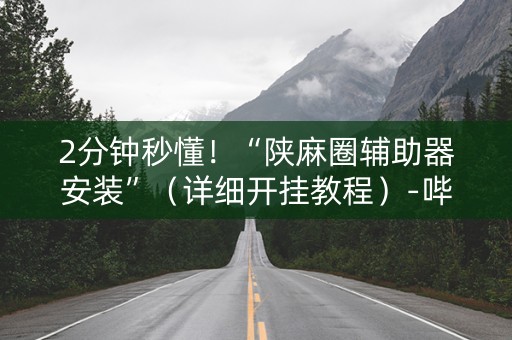 2分钟秒懂！“陕麻圈辅助器安装”（详细开挂教程）-哔哩哔哩