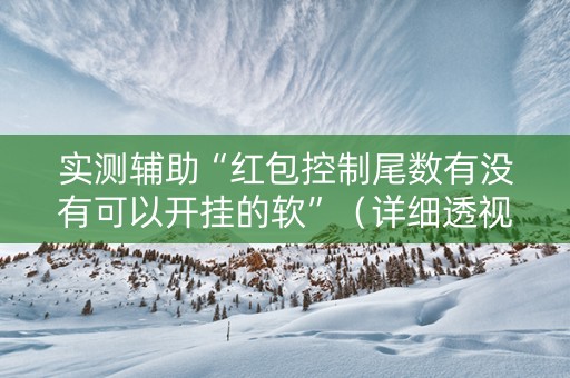 实测辅助“红包控制尾数有没有可以开挂的软”（详细透视教程）-哔哩哔哩