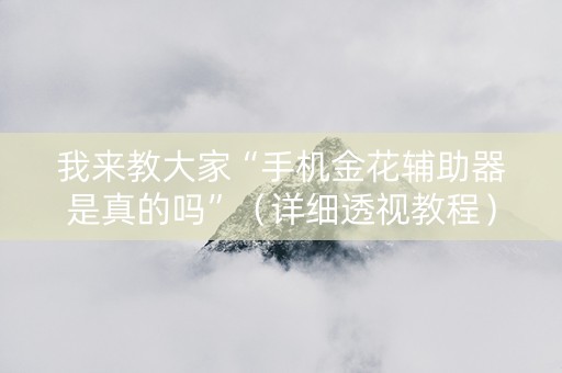 我来教大家“手机金花辅助器是真的吗”（详细透视教程）-哔哩哔哩