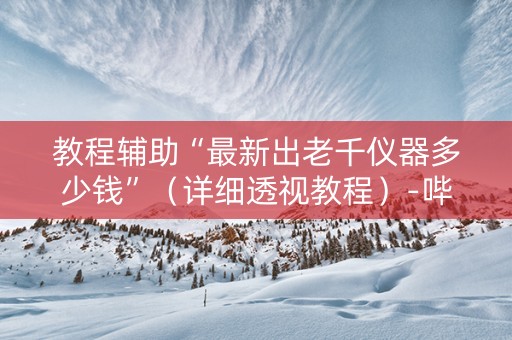 教程辅助“最新出老千仪器多少钱”（详细透视教程）-哔哩哔哩