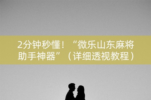 2分钟秒懂！“微乐山东麻将助手神器”（详细透视教程）-哔哩哔哩