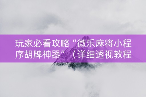 玩家必看攻略“微乐麻将小程序胡牌神器”（详细透视教程）-哔哩哔哩
