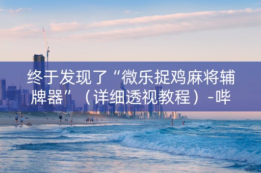 终于发现了“微乐捉鸡麻将辅牌器”（详细透视教程）-哔哩哔哩
