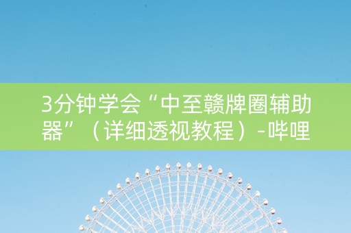 3分钟学会“中至赣牌圈辅助器”（详细透视教程）-哔哩哔哩