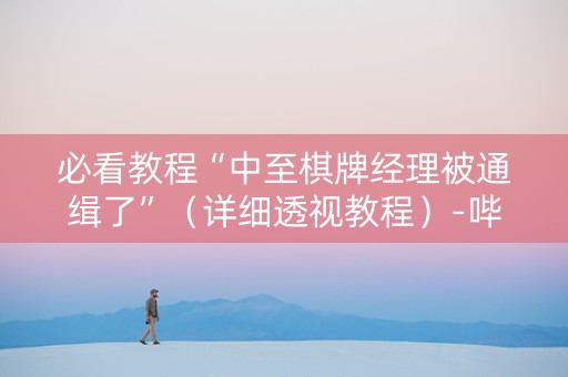 必看教程“中至棋牌经理被通缉了”（详细透视教程）-哔哩哔哩