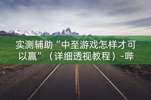 实测辅助“中至游戏怎样才可以赢”（详细透视教程）-哔哩哔哩