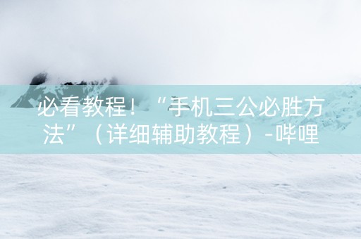 必看教程！“手机三公必胜方法”（详细辅助教程）-哔哩哔哩