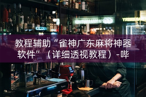 教程辅助“雀神广东麻将神器软件”（详细透视教程）-哔哩哔哩