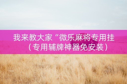 我来教大家“微乐麻将专用挂（专用辅牌神器免安装）