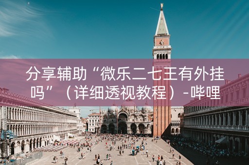 分享辅助“微乐二七王有外挂吗”（详细透视教程）-哔哩哔哩