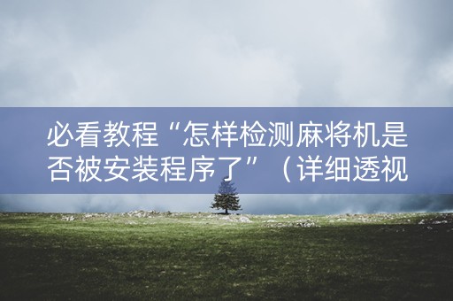 必看教程“怎样检测麻将机是否被安装程序了”（详细透视教程）-哔哩哔哩