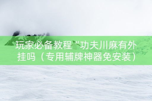 玩家必备教程“功夫川麻有外挂吗（专用辅牌神器免安装）