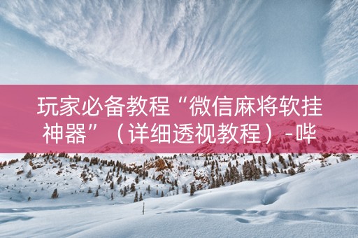 玩家必备教程“微信麻将软挂神器”（详细透视教程）-哔哩哔哩