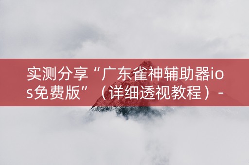 实测分享“广东雀神辅助器ios免费版”（详细透视教程）-哔哩哔哩