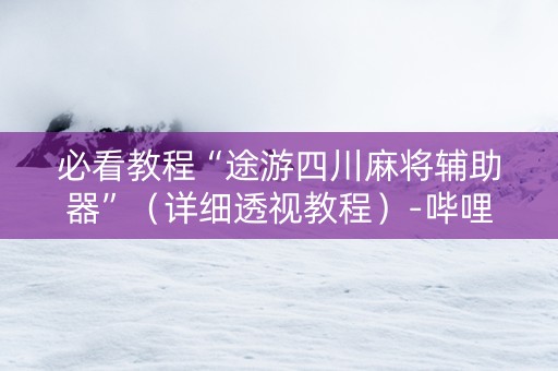必看教程“途游四川麻将辅助器”（详细透视教程）-哔哩哔哩