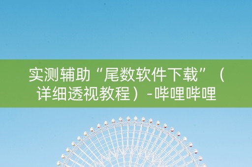 实测辅助“尾数软件下载”（详细透视教程）-哔哩哔哩