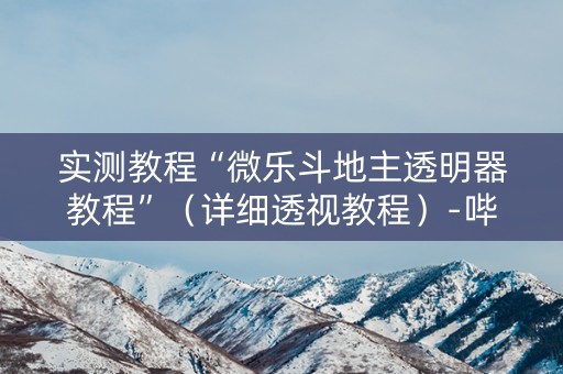 实测教程“微乐斗地主透明器教程”（详细透视教程）-哔哩哔哩