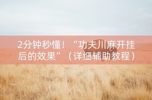 2分钟秒懂！“功夫川麻开挂后的效果”（详细辅助教程）-哔哩哔哩