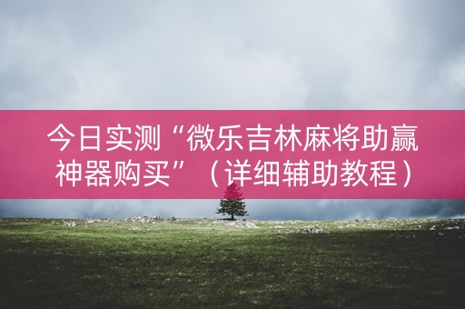 今日实测“微乐吉林麻将助赢神器购买”（详细辅助教程）-哔哩哔哩