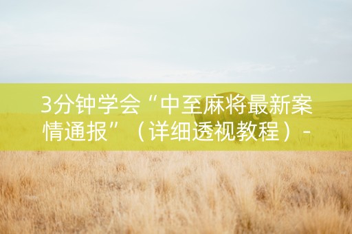 3分钟学会“中至麻将最新案情通报”（详细透视教程）-哔哩哔哩