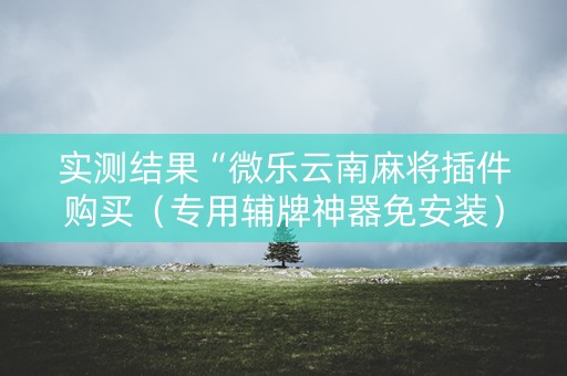 实测结果“微乐云南麻将插件购买（专用辅牌神器免安装）
