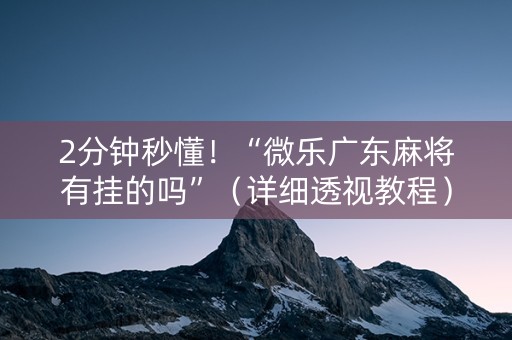 2分钟秒懂！“微乐广东麻将有挂的吗”（详细透视教程）-哔哩哔哩