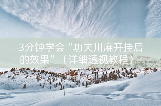 3分钟学会“功夫川麻开挂后的效果”（详细透视教程）-哔哩哔哩