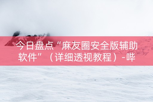 今日盘点“麻友圈安全版辅助软件”（详细透视教程）-哔哩哔哩