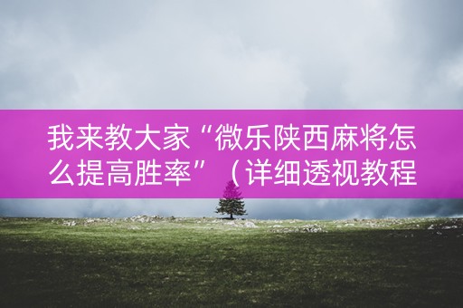 我来教大家“微乐陕西麻将怎么提高胜率”（详细透视教程）-哔哩哔哩