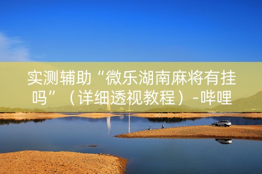实测辅助“微乐湖南麻将有挂吗”（详细透视教程）-哔哩哔哩