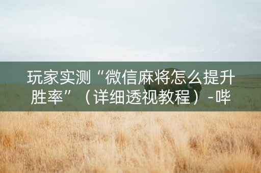 玩家实测“微信麻将怎么提升胜率”（详细透视教程）-哔哩哔哩
