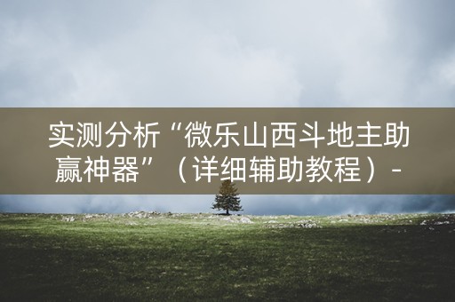 实测分析“微乐山西斗地主助赢神器”（详细辅助教程）-哔哩哔哩