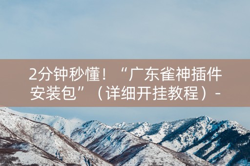 2分钟秒懂！“广东雀神插件安装包”（详细开挂教程）-哔哩哔哩