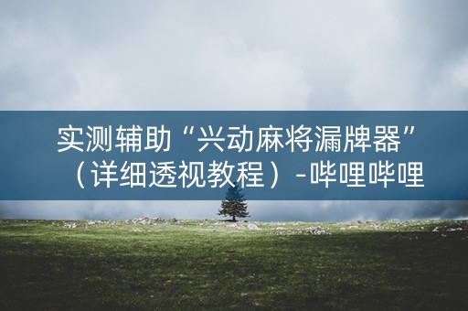 实测辅助“兴动麻将漏牌器”（详细透视教程）-哔哩哔哩