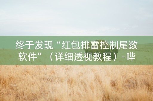 终于发现“红包排雷控制尾数软件”（详细透视教程）-哔哩哔哩