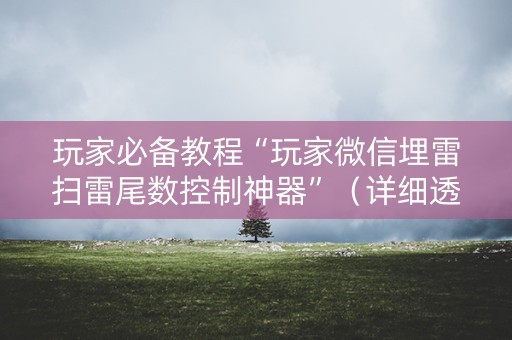 玩家必备教程“玩家微信埋雷扫雷尾数控制神器”（详细透视教程）-哔哩哔哩