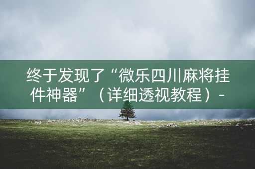 终于发现了“微乐四川麻将挂件神器”（详细透视教程）-哔哩哔哩