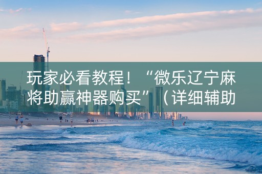 玩家必看教程！“微乐辽宁麻将助赢神器购买”（详细辅助教程）-哔哩哔哩