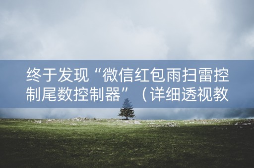终于发现“微信红包雨扫雷控制尾数控制器”（详细透视教程）-哔哩哔哩
