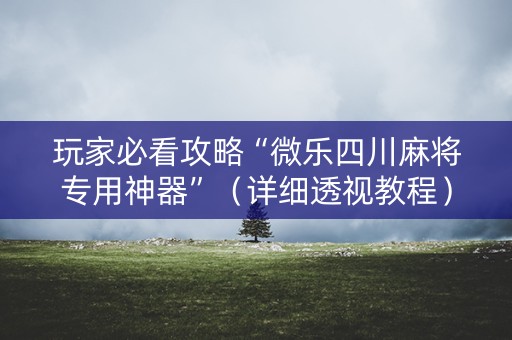 玩家必看攻略“微乐四川麻将专用神器”（详细透视教程）-哔哩哔哩