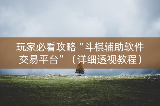 玩家必看攻略“斗棋辅助软件交易平台”（详细透视教程）-哔哩哔哩
